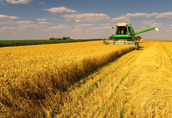 Каким будет 2020 год для агропроизводителей?