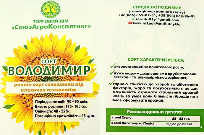 Соняшник Володимир, фр.2,6, непротруєне насіння  - фото 2