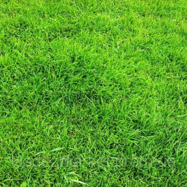 Газонна трава універсальна суміш - фото 4