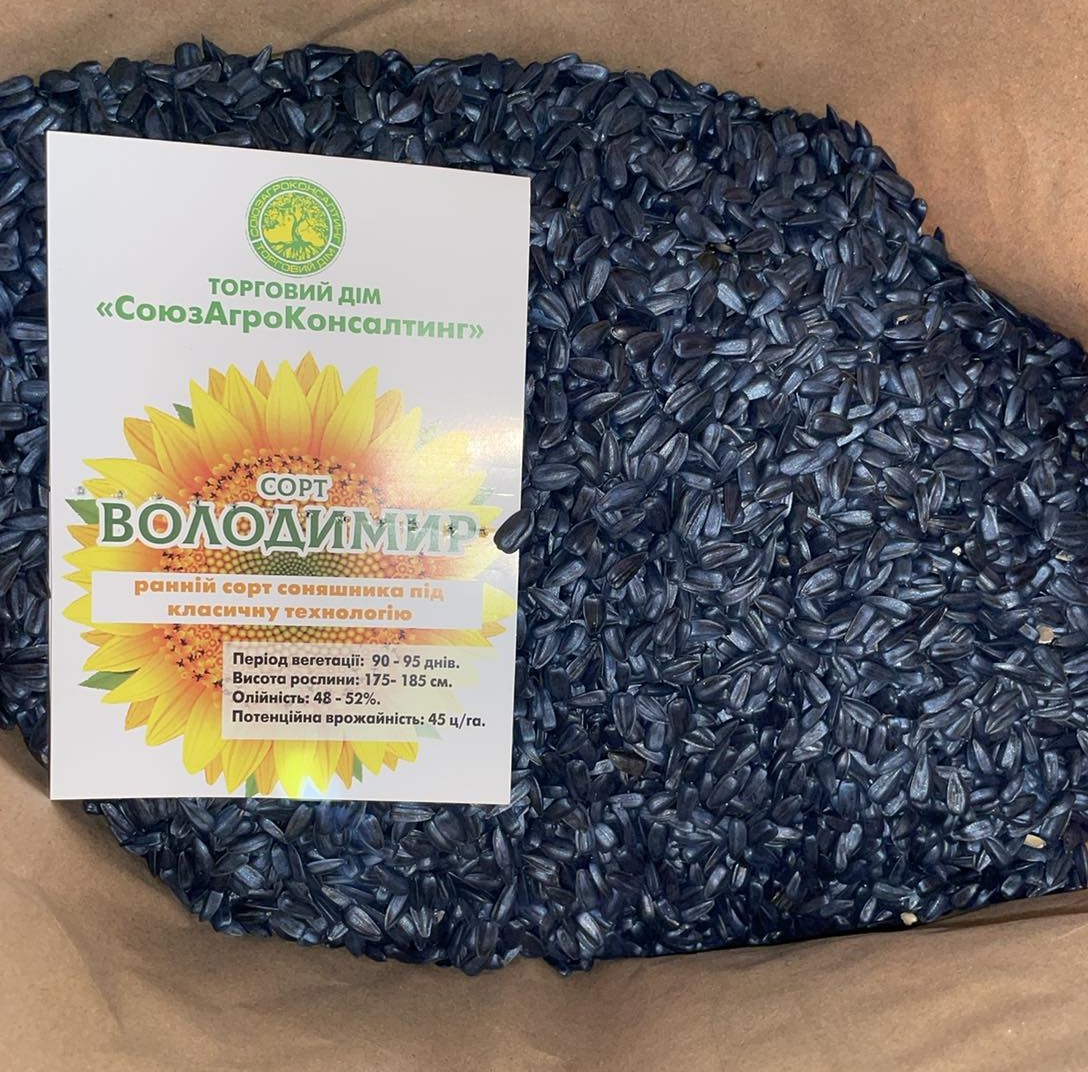 Соняшник Володимир, Стандарт, протруєне насіння - фото 5
